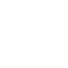 Bricks